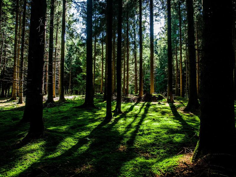 城市隐居<br>lyv4augd.cn 闹市桃花源记